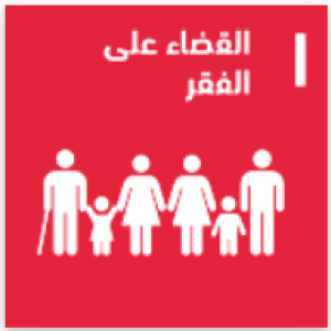 SDG1 - No Poverty